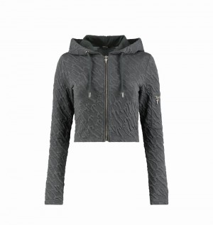 Chandals Trapstar Jacquard Fitted Zip Hoodie Mujer Grises | RCYNBF-913